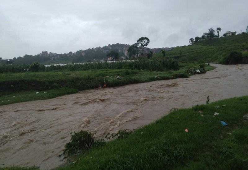 झरीले काठमाडौं उपत्यकाका नदी, खोलामा बाढीसँगै सडक जलमग्न