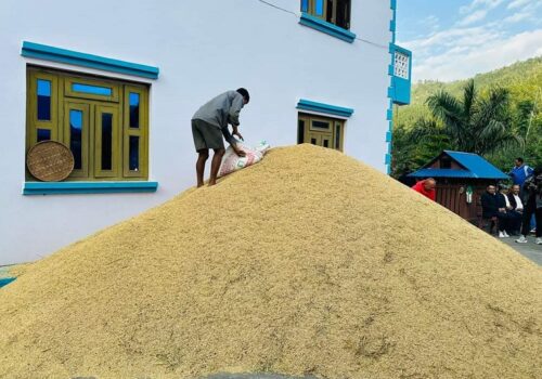 गुल्मी धुर्काेटका मेघनाथ अर्यालले फलाए ४ सय मुरी धान