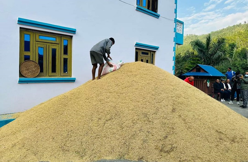 गुल्मी धुर्काेटका मेघनाथ अर्यालले फलाए ४ सय मुरी धान